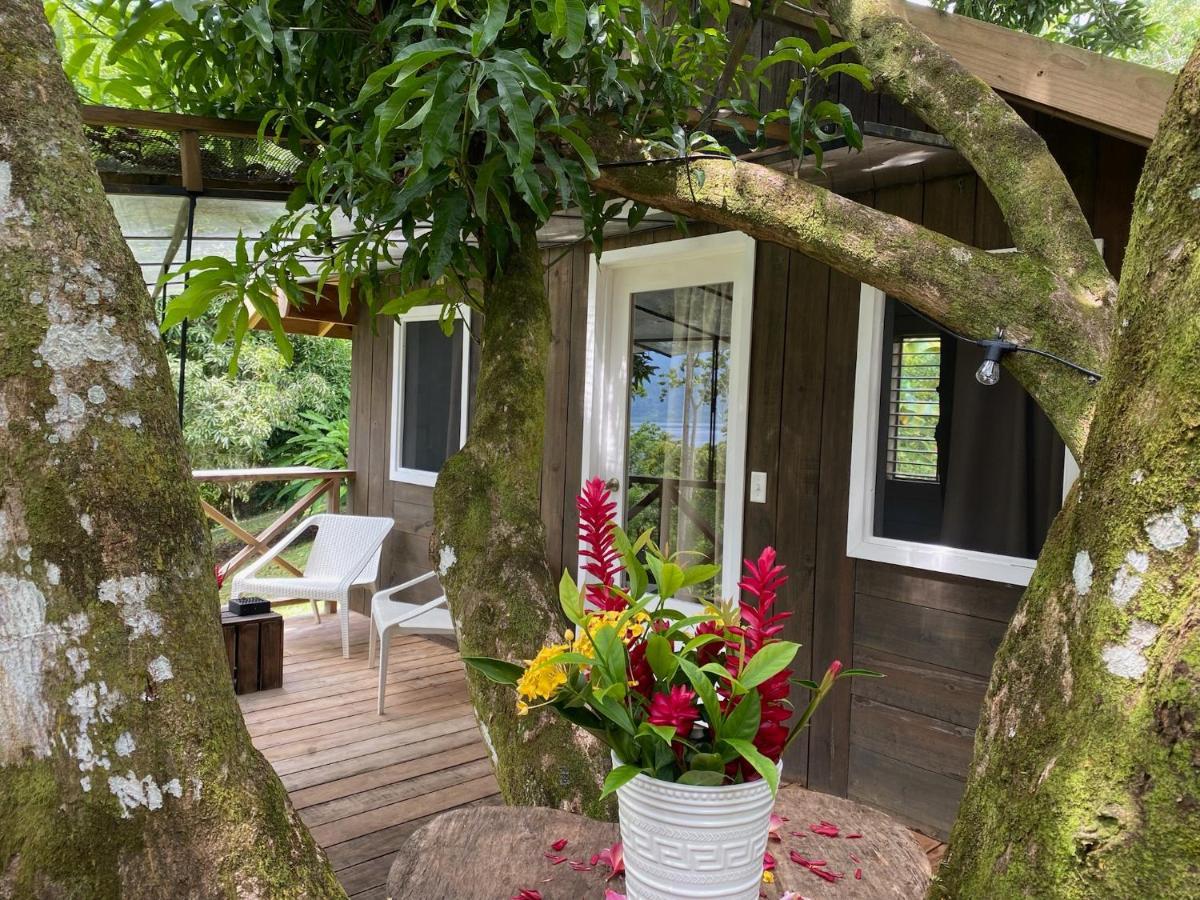 Finca Vela Lodge Bocas del Toro Esterno foto