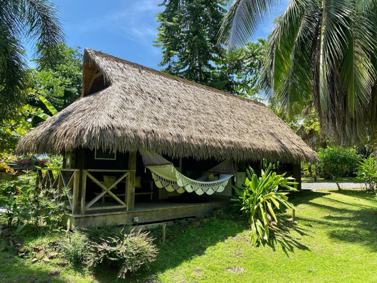 Finca Vela Lodge Bocas del Toro Esterno foto