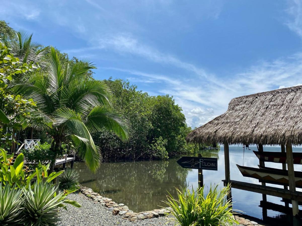 Finca Vela Lodge Bocas del Toro Esterno foto