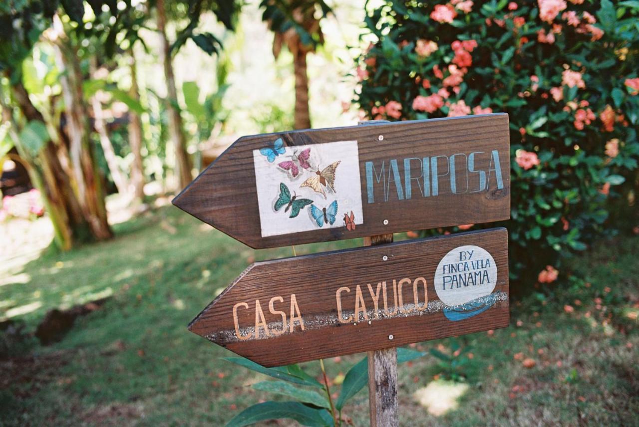 Finca Vela Lodge Bocas del Toro Esterno foto