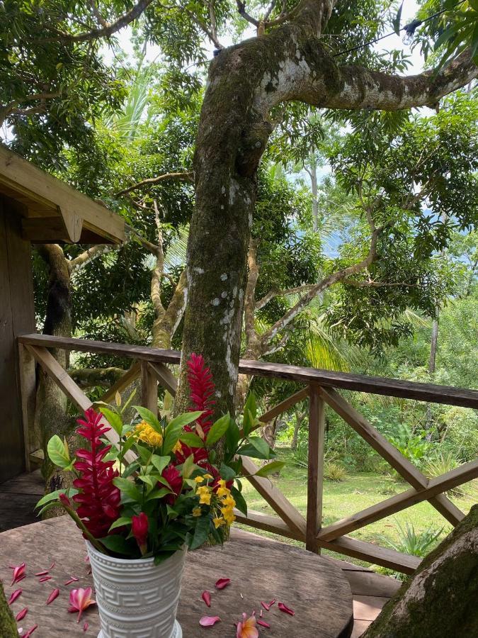 Finca Vela Lodge Bocas del Toro Esterno foto