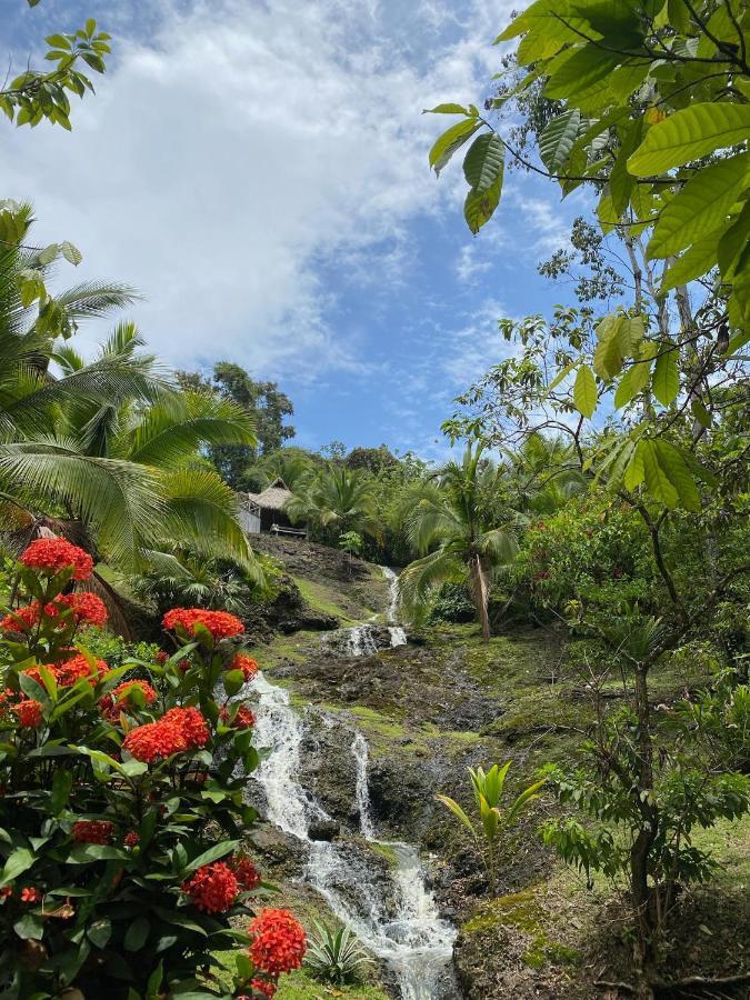 Finca Vela Lodge Bocas del Toro Esterno foto