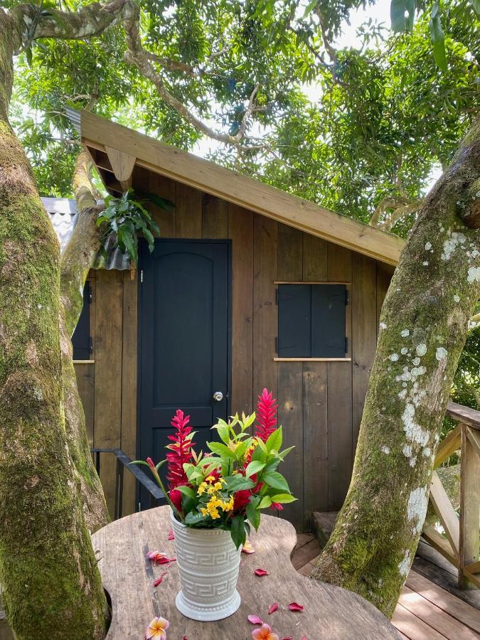 Finca Vela Lodge Bocas del Toro Esterno foto
