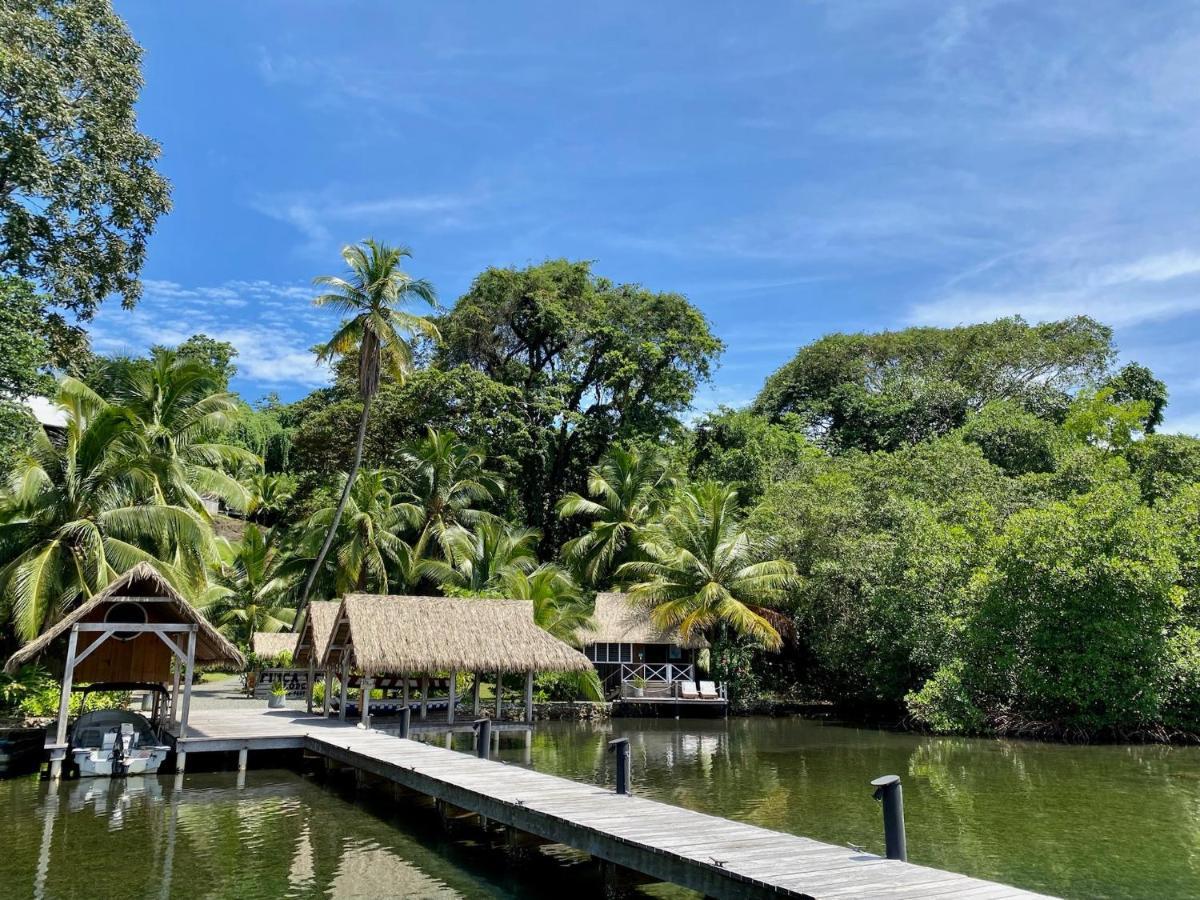 Finca Vela Lodge Bocas del Toro Esterno foto