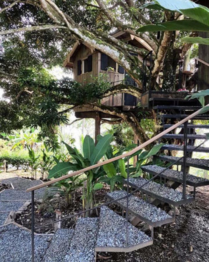 Finca Vela Lodge Bocas del Toro Camera foto